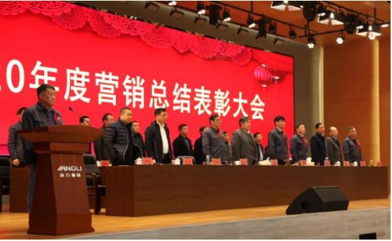 揚力集團2020年度營銷總結表彰大會圓滿召開!